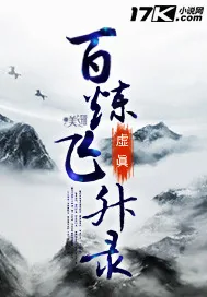 《百炼飞升录》小说封面