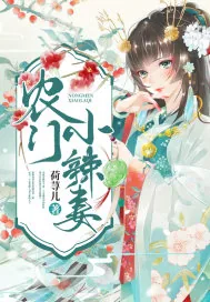 《农门小辣妻》小说封面