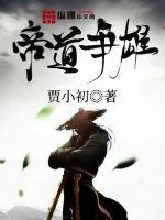 《帝道争雄》小说封面